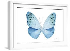 Miss Butterfly Euploea - X-Ray White Edition-Philippe Hugonnard-Framed Photographic Print