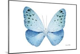 Miss Butterfly Euploea - X-Ray White Edition-Philippe Hugonnard-Mounted Photographic Print