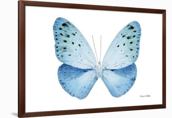 Miss Butterfly Euploea - X-Ray White Edition-Philippe Hugonnard-Framed Photographic Print