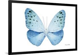 Miss Butterfly Euploea - X-Ray White Edition-Philippe Hugonnard-Framed Photographic Print