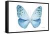 Miss Butterfly Euploea - X-Ray White Edition-Philippe Hugonnard-Framed Stretched Canvas