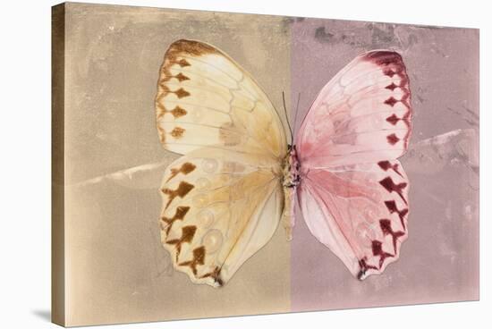 Miss Butterfly Formosana - Dark Beige & Red-Philippe Hugonnard-Stretched Canvas