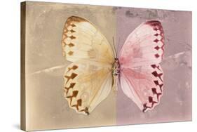 Miss Butterfly Formosana - Dark Beige & Red-Philippe Hugonnard-Stretched Canvas