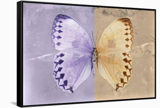 Miss Butterfly Formosana - Mauve & Dark Beige-Philippe Hugonnard-Framed Stretched Canvas