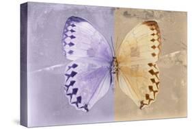 Miss Butterfly Formosana - Mauve & Dark Beige-Philippe Hugonnard-Stretched Canvas