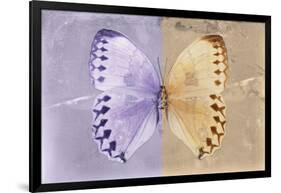 Miss Butterfly Formosana - Mauve & Dark Beige-Philippe Hugonnard-Framed Photographic Print