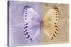 Miss Butterfly Formosana - Mauve & Dark Beige-Philippe Hugonnard-Stretched Canvas