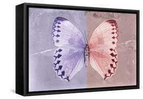 Miss Butterfly Formosana - Mauve & Red-Philippe Hugonnard-Framed Stretched Canvas