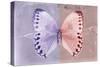 Miss Butterfly Formosana - Mauve & Red-Philippe Hugonnard-Stretched Canvas