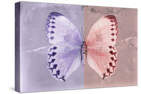 Miss Butterfly Formosana - Mauve & Red-Philippe Hugonnard-Stretched Canvas