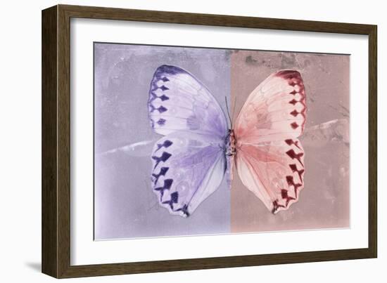 Miss Butterfly Formosana - Mauve & Red-Philippe Hugonnard-Framed Photographic Print