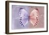 Miss Butterfly Formosana - Mauve & Red-Philippe Hugonnard-Framed Photographic Print