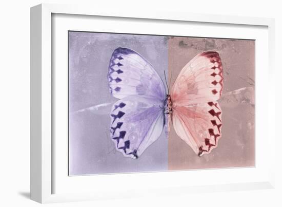 Miss Butterfly Formosana - Mauve & Red-Philippe Hugonnard-Framed Photographic Print
