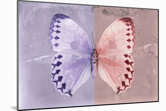 Miss Butterfly Formosana - Mauve & Red-Philippe Hugonnard-Mounted Photographic Print