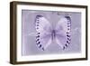 Miss Butterfly Formosana - Mauve-Philippe Hugonnard-Framed Photographic Print