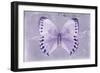 Miss Butterfly Formosana - Mauve-Philippe Hugonnard-Framed Photographic Print