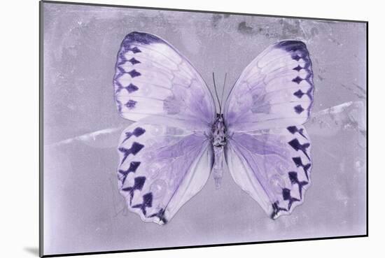 Miss Butterfly Formosana - Mauve-Philippe Hugonnard-Mounted Photographic Print