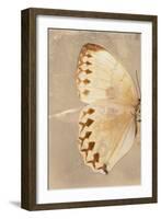 Miss Butterfly Formosana Profil - Dark Beige-Philippe Hugonnard-Framed Photographic Print