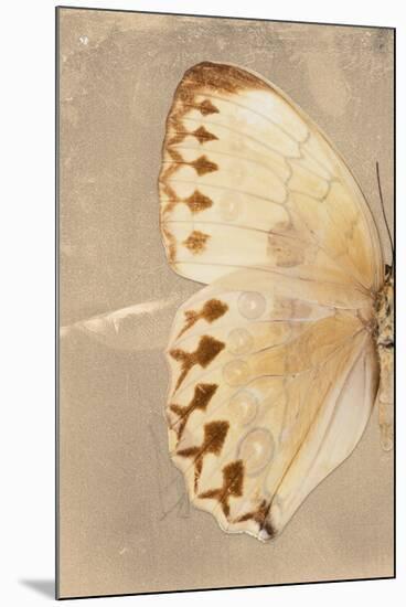 Miss Butterfly Formosana Profil - Dark Beige-Philippe Hugonnard-Mounted Premium Photographic Print