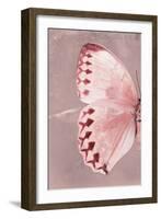 Miss Butterfly Formosana Profil - Red-Philippe Hugonnard-Framed Photographic Print