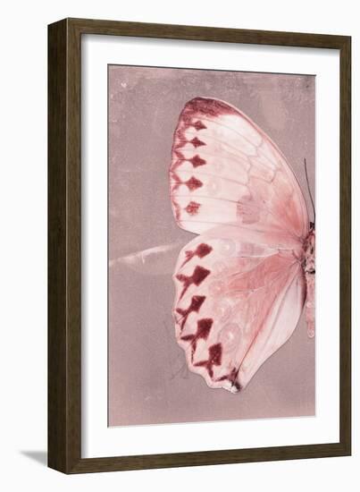 Miss Butterfly Formosana Profil - Red-Philippe Hugonnard-Framed Photographic Print