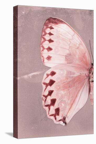 Miss Butterfly Formosana Profil - Red-Philippe Hugonnard-Stretched Canvas