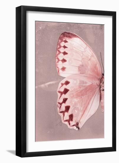 Miss Butterfly Formosana Profil - Red-Philippe Hugonnard-Framed Premium Photographic Print