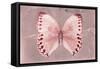 Miss Butterfly Formosana - Red-Philippe Hugonnard-Framed Stretched Canvas