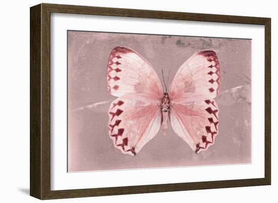 Miss Butterfly Formosana - Red-Philippe Hugonnard-Framed Photographic Print