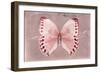 Miss Butterfly Formosana - Red-Philippe Hugonnard-Framed Photographic Print