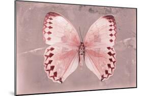 Miss Butterfly Formosana - Red-Philippe Hugonnard-Mounted Photographic Print