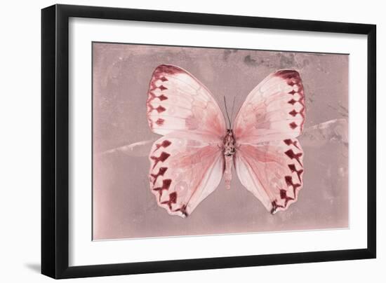 Miss Butterfly Formosana - Red-Philippe Hugonnard-Framed Premium Photographic Print