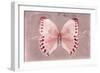 Miss Butterfly Formosana - Red-Philippe Hugonnard-Framed Premium Photographic Print