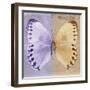 Miss Butterfly Formosana Sq - Mauve & Dark Beige-Philippe Hugonnard-Framed Photographic Print