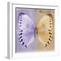 Miss Butterfly Formosana Sq - Mauve & Dark Beige-Philippe Hugonnard-Framed Photographic Print