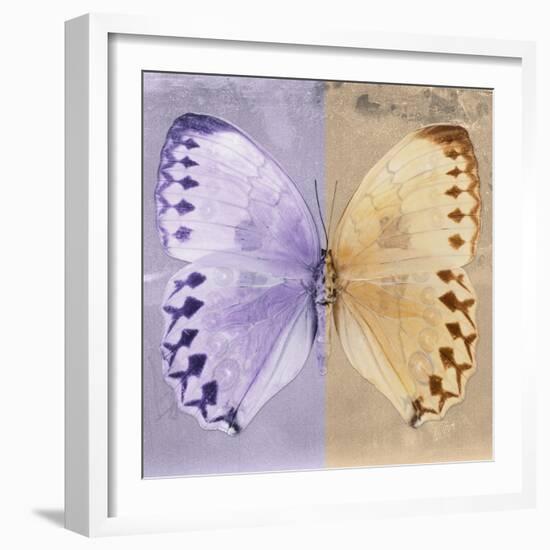 Miss Butterfly Formosana Sq - Mauve & Dark Beige-Philippe Hugonnard-Framed Photographic Print