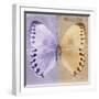 Miss Butterfly Formosana Sq - Mauve & Dark Beige-Philippe Hugonnard-Framed Photographic Print