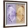 Miss Butterfly Formosana Sq - Mauve & Dark Beige-Philippe Hugonnard-Framed Photographic Print