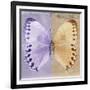 Miss Butterfly Formosana Sq - Mauve & Dark Beige-Philippe Hugonnard-Framed Photographic Print