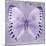 Miss Butterfly Formosana Sq - Mauve-Philippe Hugonnard-Mounted Photographic Print