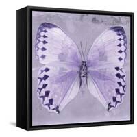 Miss Butterfly Formosana Sq - Mauve-Philippe Hugonnard-Framed Stretched Canvas