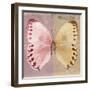 Miss Butterfly Formosana Sq - Red & Dark Beige-Philippe Hugonnard-Framed Photographic Print