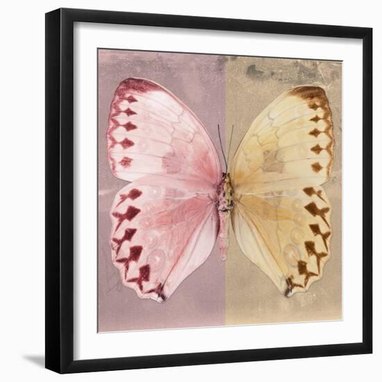 Miss Butterfly Formosana Sq - Red & Dark Beige-Philippe Hugonnard-Framed Photographic Print