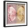 Miss Butterfly Formosana Sq - Red & Dark Beige-Philippe Hugonnard-Framed Photographic Print