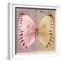 Miss Butterfly Formosana Sq - Red & Dark Beige-Philippe Hugonnard-Framed Photographic Print