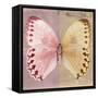 Miss Butterfly Formosana Sq - Red & Dark Beige-Philippe Hugonnard-Framed Stretched Canvas