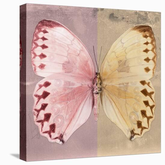 Miss Butterfly Formosana Sq - Red & Dark Beige-Philippe Hugonnard-Stretched Canvas