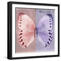 Miss Butterfly Formosana Sq - Red & Mauve-Philippe Hugonnard-Framed Photographic Print