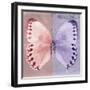 Miss Butterfly Formosana Sq - Red & Mauve-Philippe Hugonnard-Framed Photographic Print