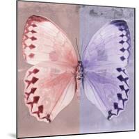 Miss Butterfly Formosana Sq - Red & Mauve-Philippe Hugonnard-Mounted Photographic Print